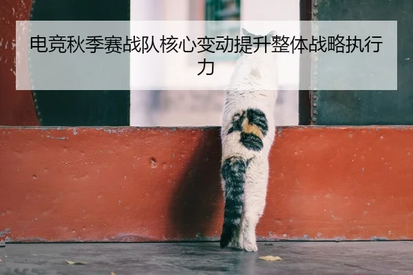 电竞秋季赛战队核心变动提升整体战略执行力 - 6TSports